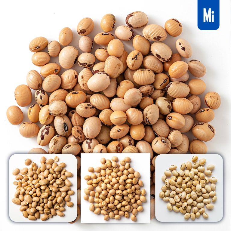 midjourney soja bean pile photography