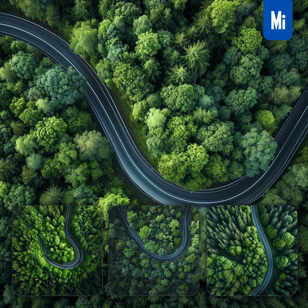 midjourney prompt curved road green tree forest photography