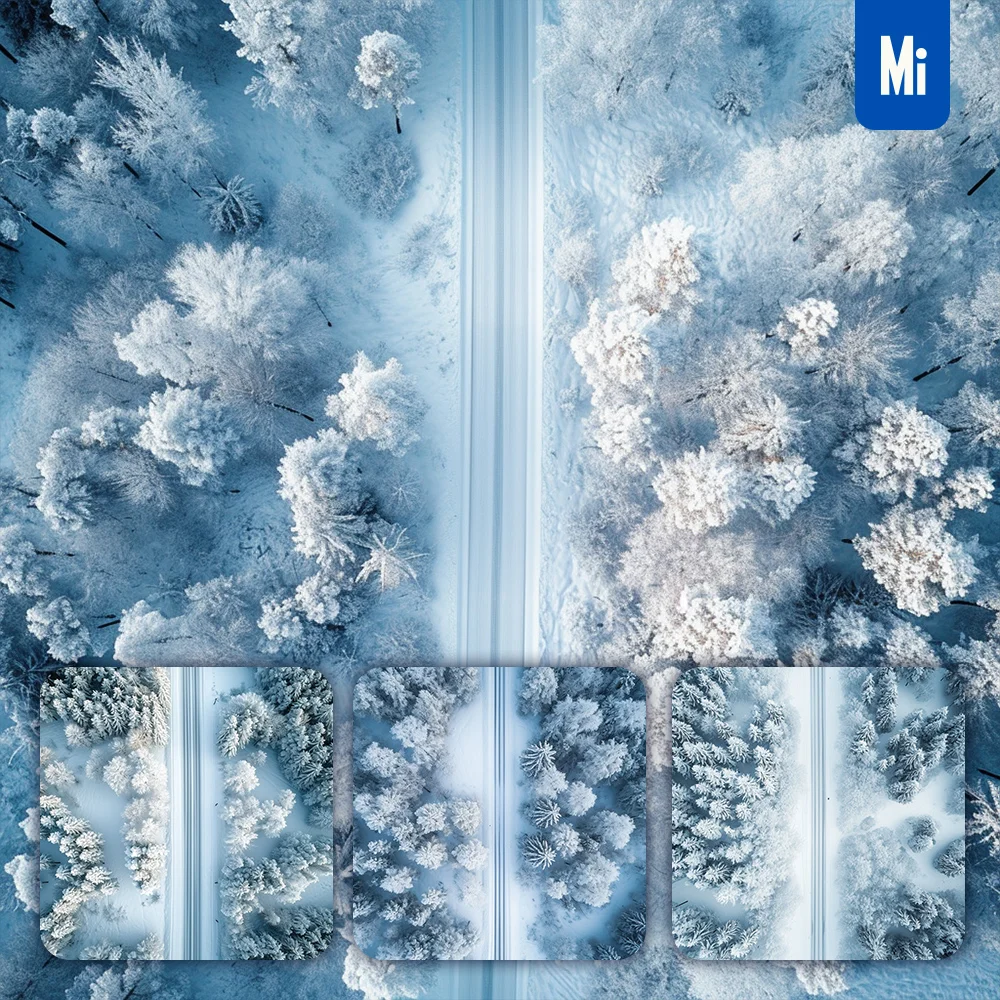 Midjourney Prompt Snow Road Straight Tree Photography