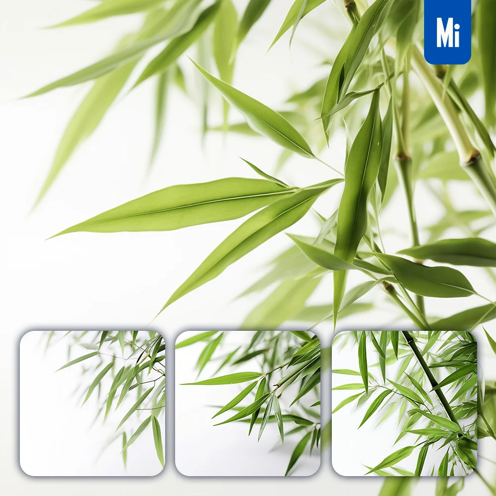 midjourney prompt bamboo leaves leaf green