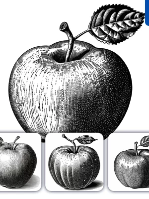 Midjourney Prompt Apple Leave Leaf Illustration Painting Black And White