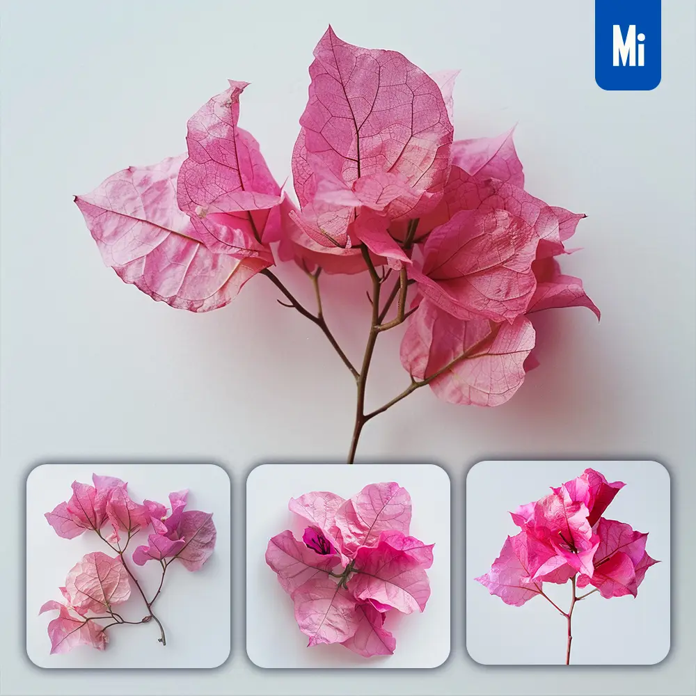 Midjourney Prompt Bougainvillea Flower Bloom Single Red Pink Photography
