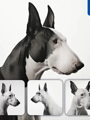 Midjourney Prompt Bull Terrier Black Photography Face Head Silhouette