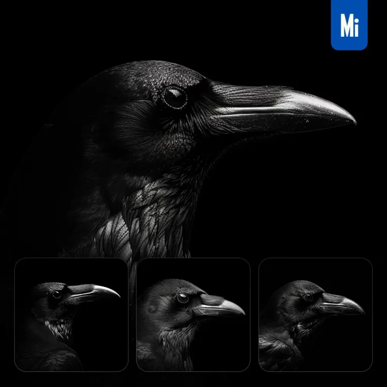 midjourney prompt crow black white light face head mysterious silhouette photography