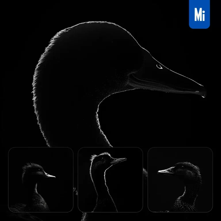 midjourney prompt duck black white light face head mysterious silhouette photography