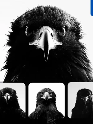 Midjourney Prompt Eagle Light Black White Face Head Silhouette Photography