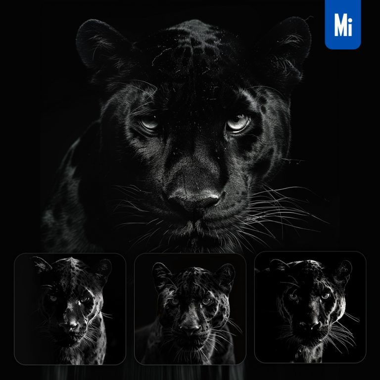 midjourney prompt panther photography black head face silhouette