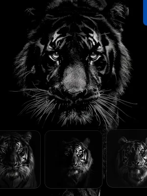 Midjourney Prompt Tiger Rimming Light Black And White Face Head Silhouette Photography