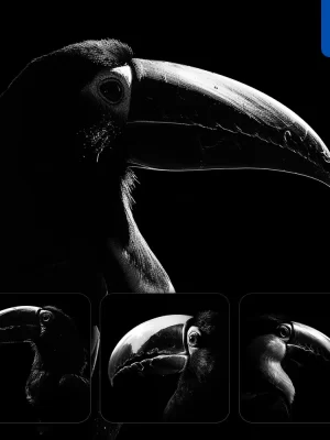 Midjourney Prompt Toucan Black White Light Face Head Mysterious Silhouette Photography