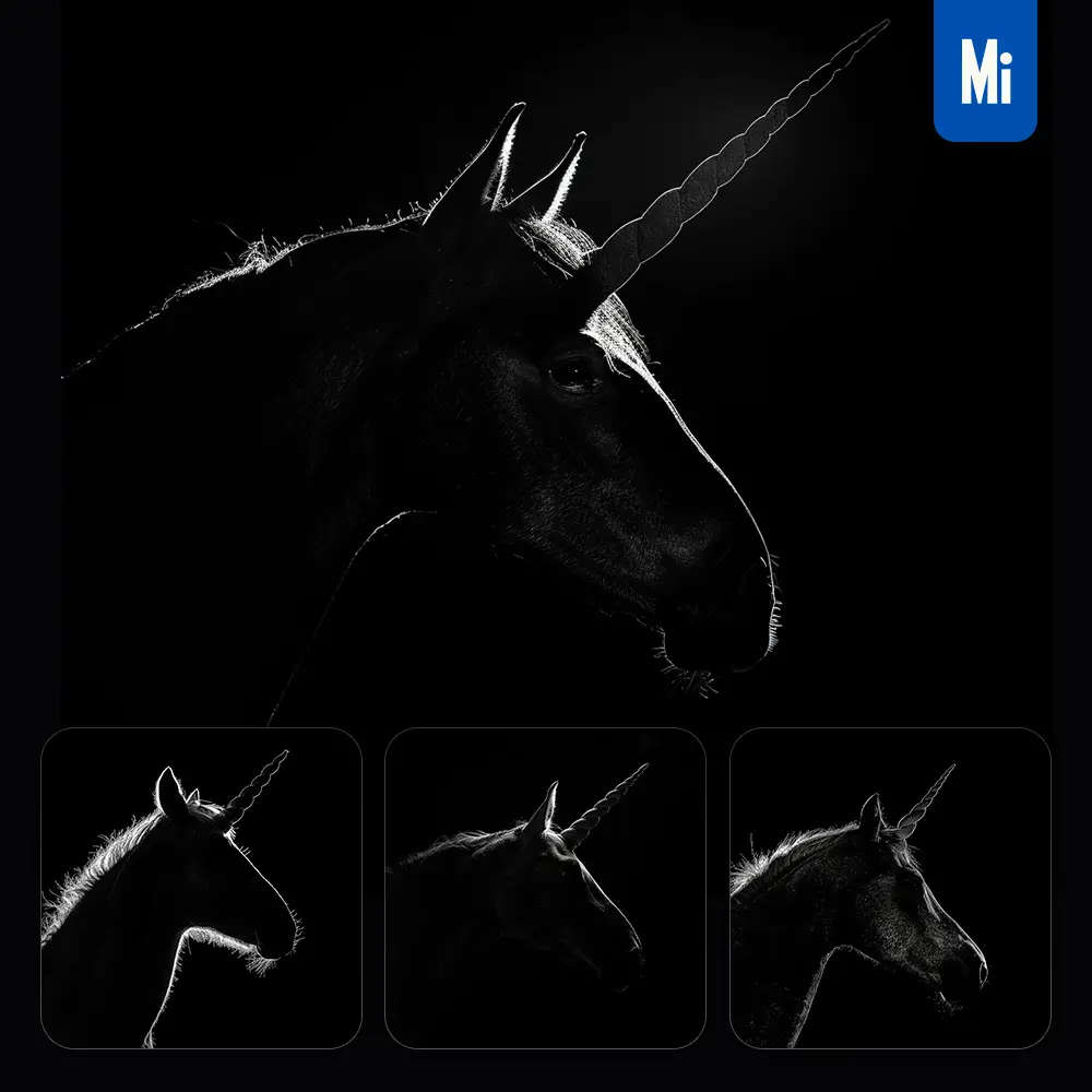 Midjourney Prompt Unicorn Black White Light Face Head Mysterious Silhouette Photography