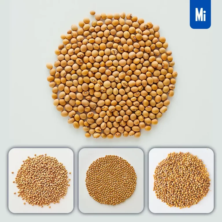 midjourney prompt soybeans pile soybean rounded photography