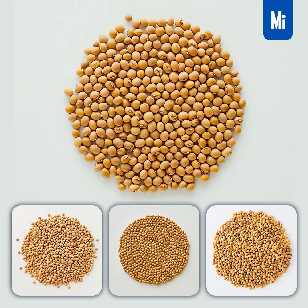 Midjourney Prompt Soybeans Pile Rounded Photography
