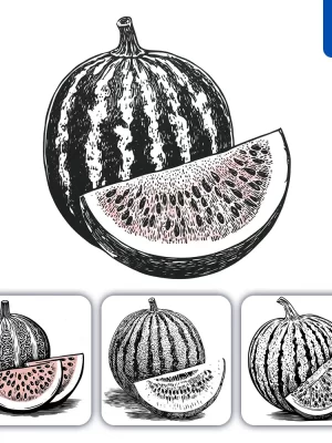 Midjourney Prompt Watermelon Woodcut Print Black And White Illustration