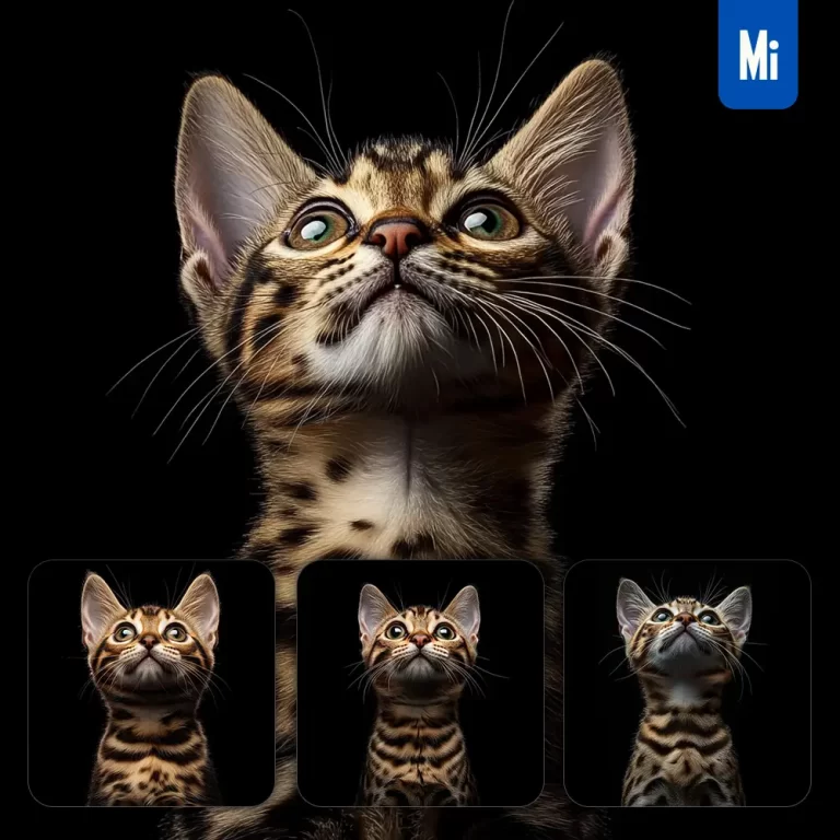 midjourney prompt Bengal cat kitten head face front look up portrait photography