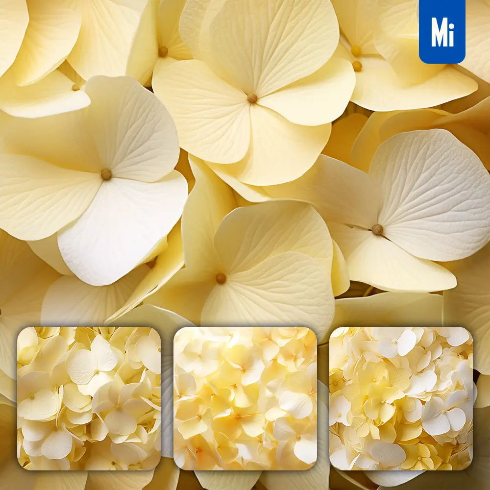 Midjourney Prompt Hydrangeas Yellow Flower Petals Close Up Art Beauty Photography