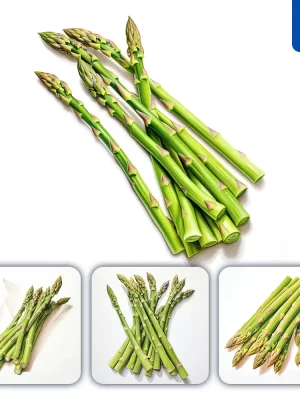 Midjourney Prompt Asparagus Vegetable Detailed Illustration Painting