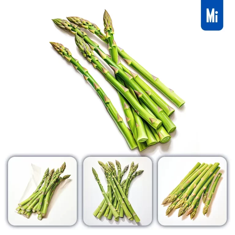 midjourney prompt asparagus vegetable detailed illustration painting