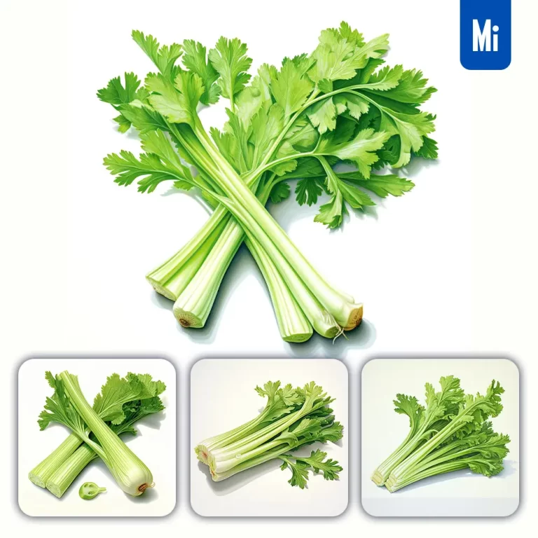 midjourney prompt celery vegetable detailed illustration painting