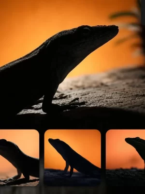 Grok Prompt Anole Lizard Side Orange Yellow Silhouette Photography Close Up