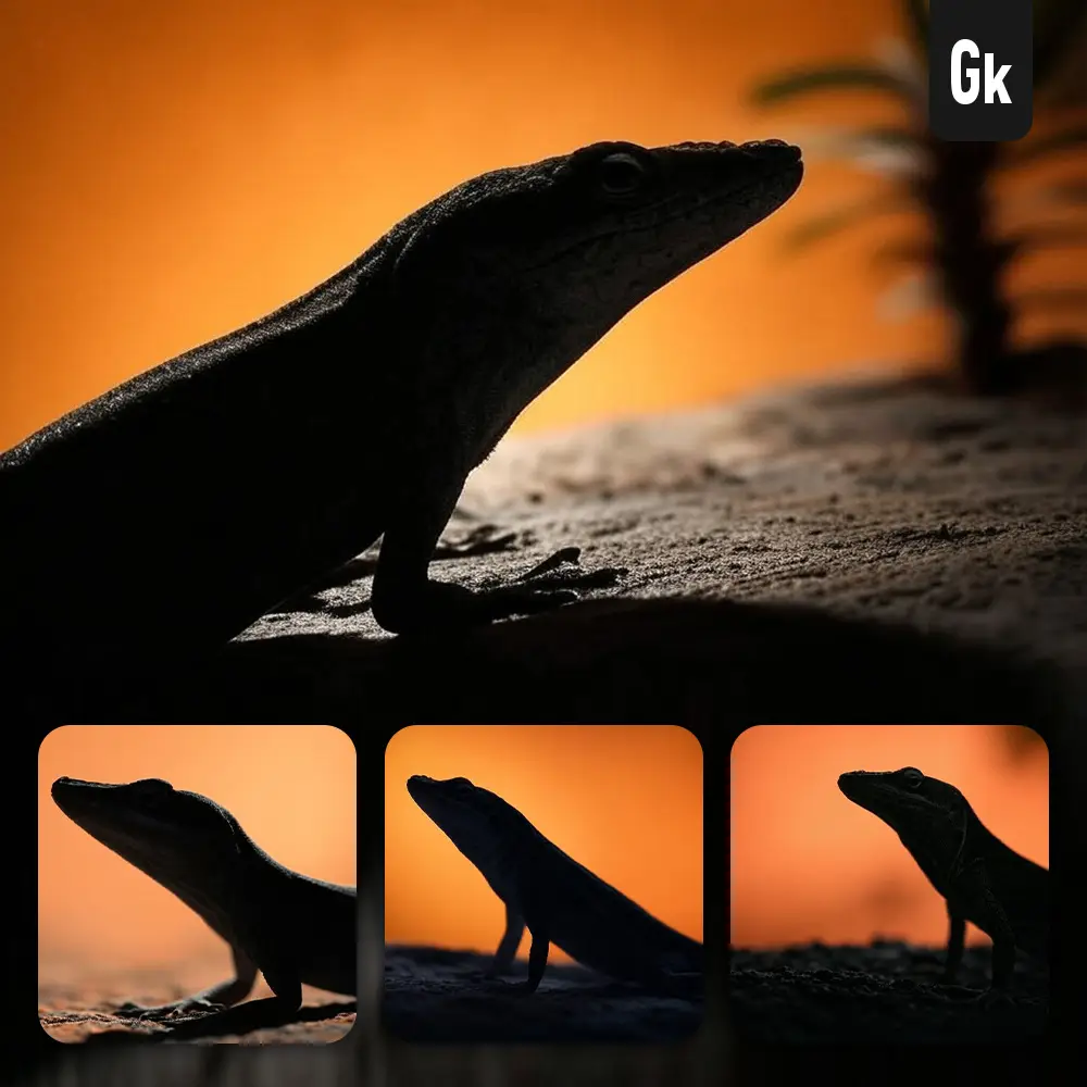 Grok Prompt Anole Lizard Side Orange Yellow Silhouette Photography Close Up