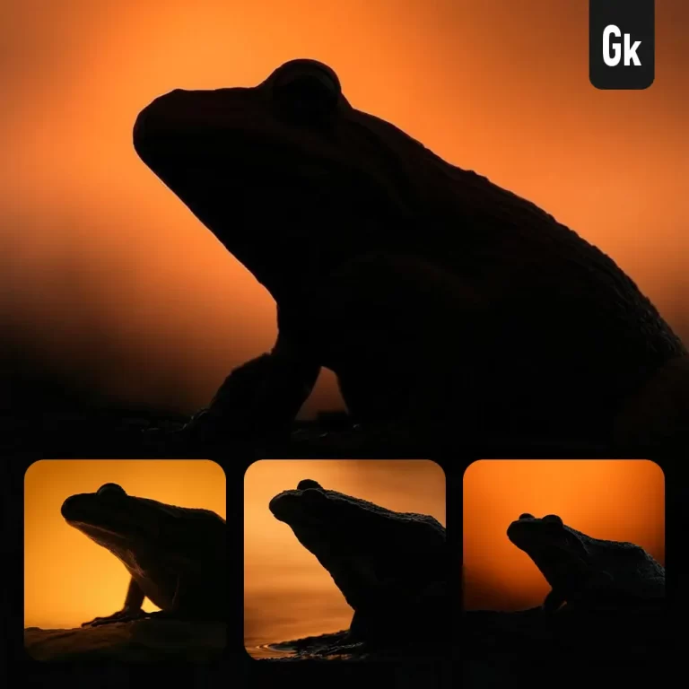 grok prompt frog side orange yellow silhouette photography close up