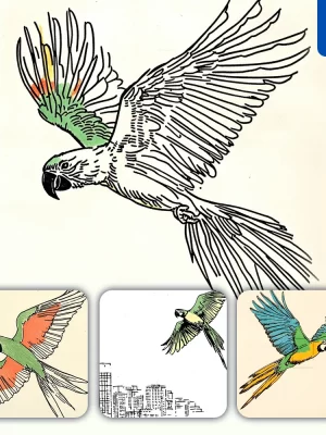 Midjourney Prompt Macaw Parrot Bird Fly Lines Vector Drawing Illustration